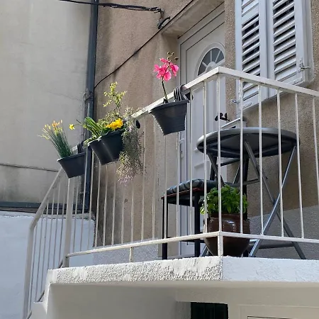 Calla דירה